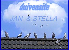 Duivensite Jan en Stella uit Vroomshoop